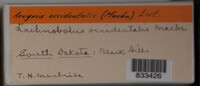Image Associated With the Occurence